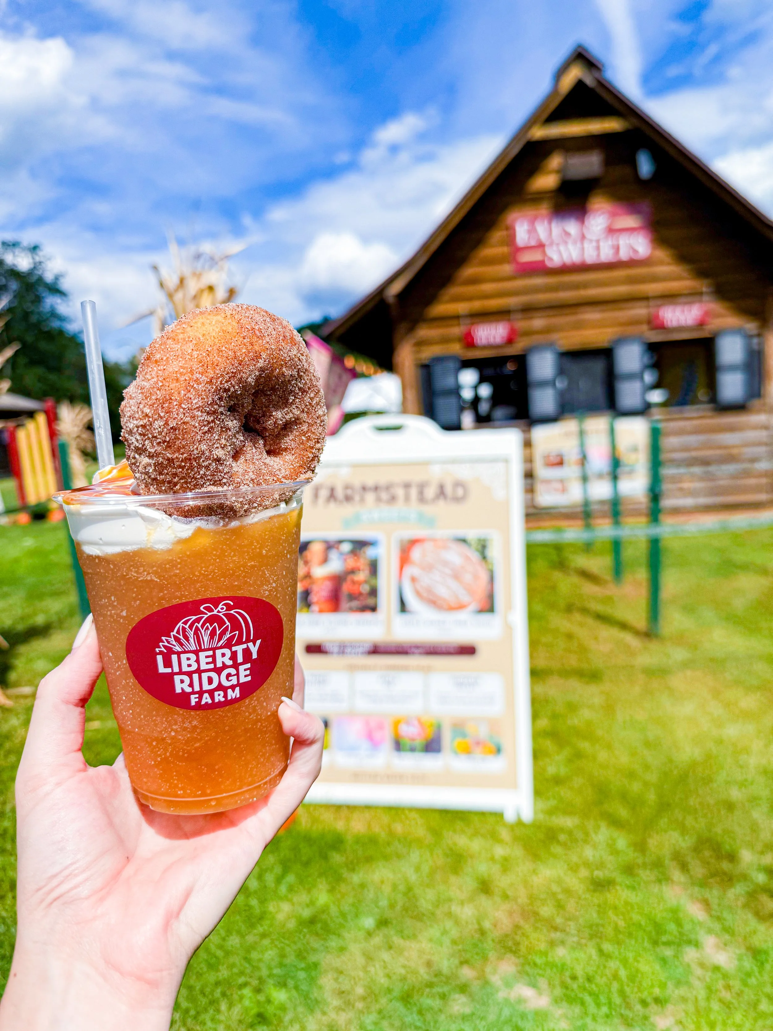 Liberty Ridge Farm | Family Things to Do | Albany, NY | Saratoga